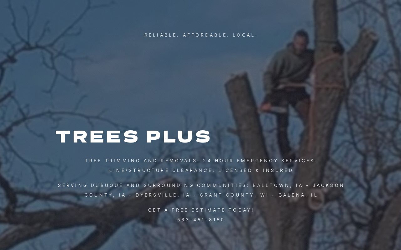 Trees Plus Dubuque